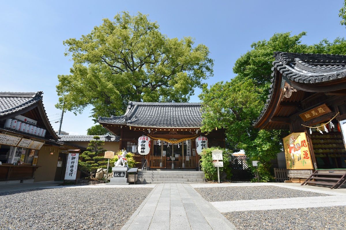 名古屋・伊奴神社の安産祈願と犬みくじの真相｜戌の日混雑と参拝作法