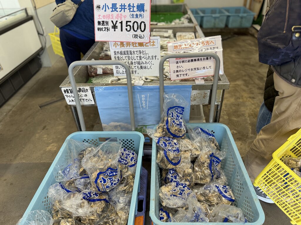 小長井町漁協直売店2026｜日本一の牡蠣・華漣の評判と混雑攻略