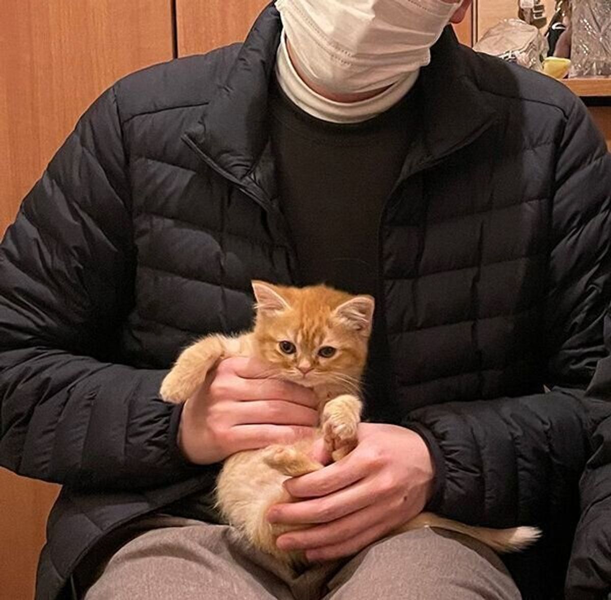 生後2ヶ月の子猫の育て方完全ガイド！食事・体重・しつけの決定版