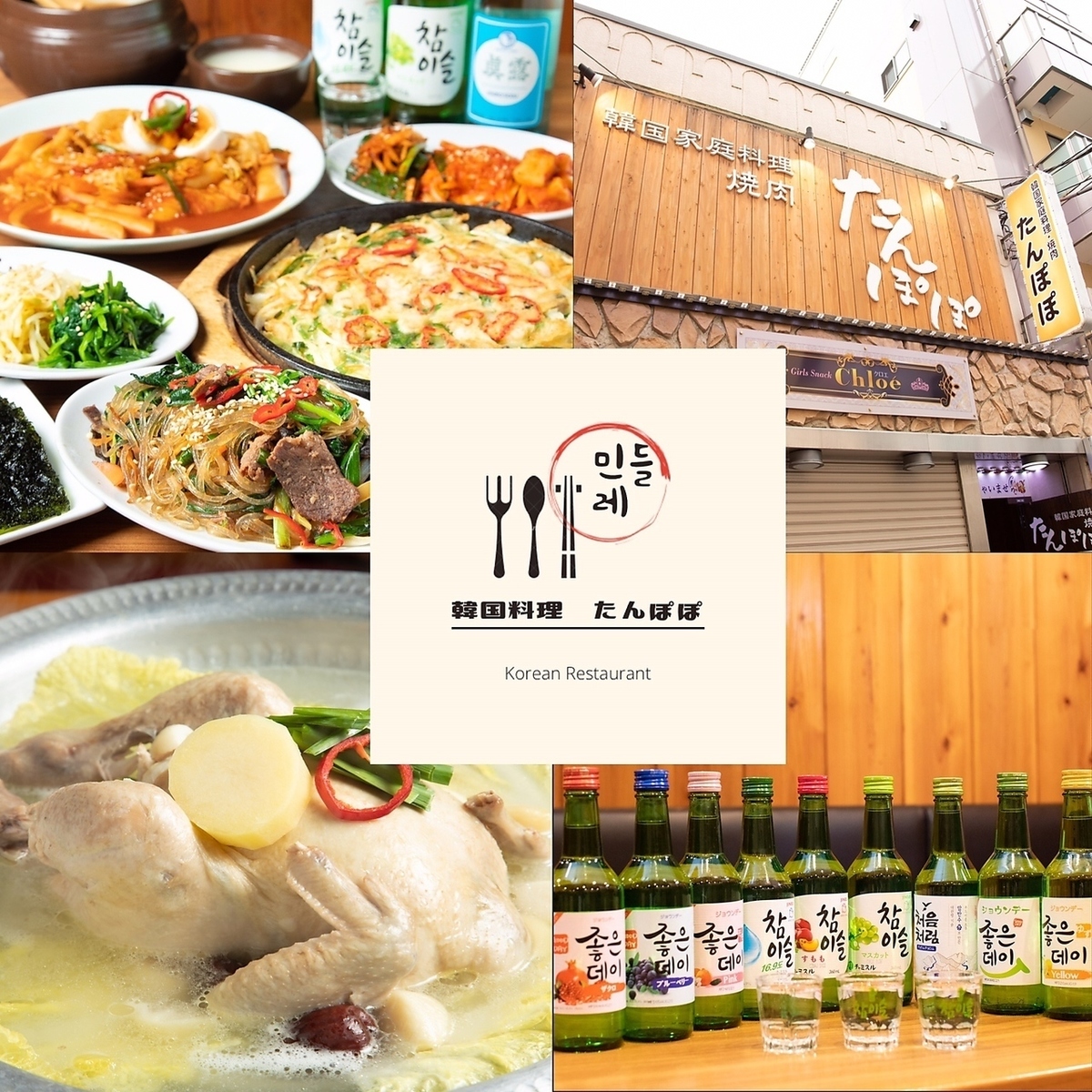 韓国家庭料理たんぽぽの全貌！絶品ランチと評判の裏側を徹底調査