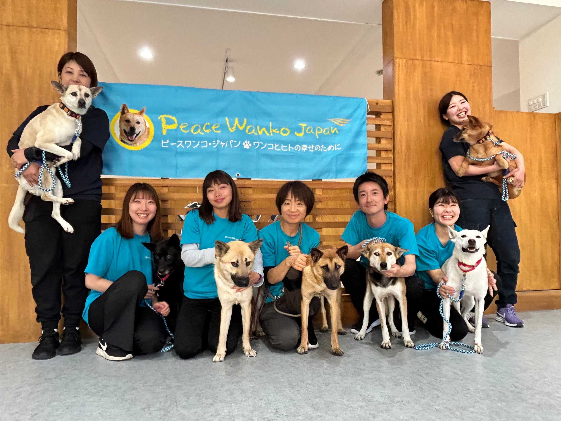 ピースワンコジャパンの評判と現在｜告発の真相から保護犬の実態まで