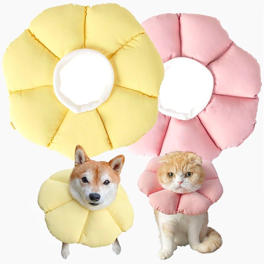 愛犬が固まる理由は？犬用エリザベスカラーの選び方とおすすめ代用品