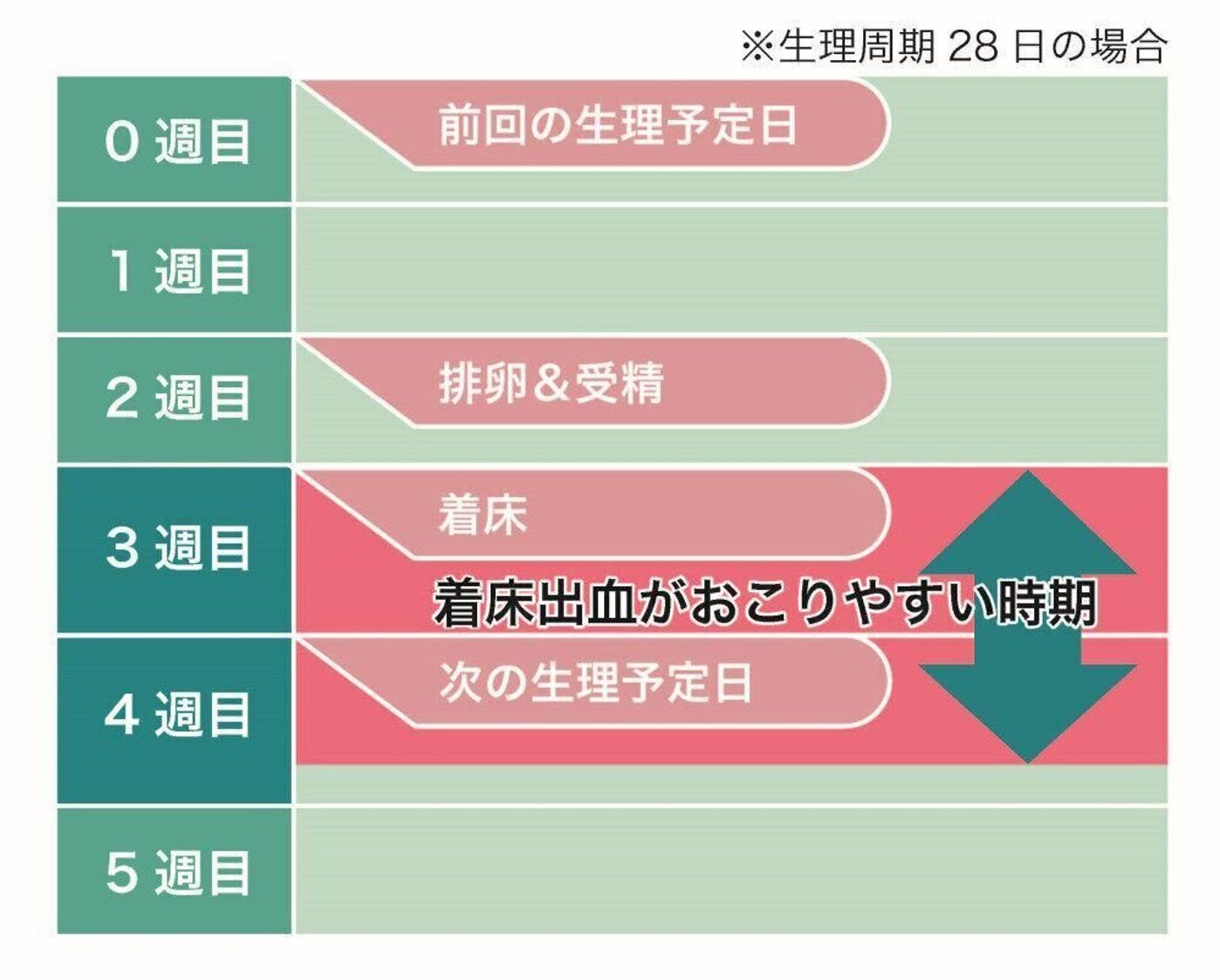 着床出血はいつ起こる？生理との違いや色・時期の目安を徹底解説