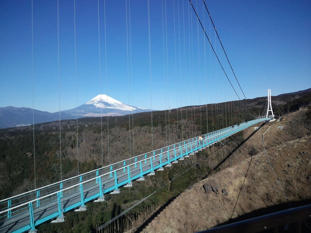 三島観光スポット決定版！定番名所から湧水穴場・絶品うなぎまで網羅