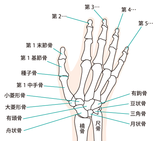 指の第一関節の痛みを放置するな！原因と最新ケアを徹底解明