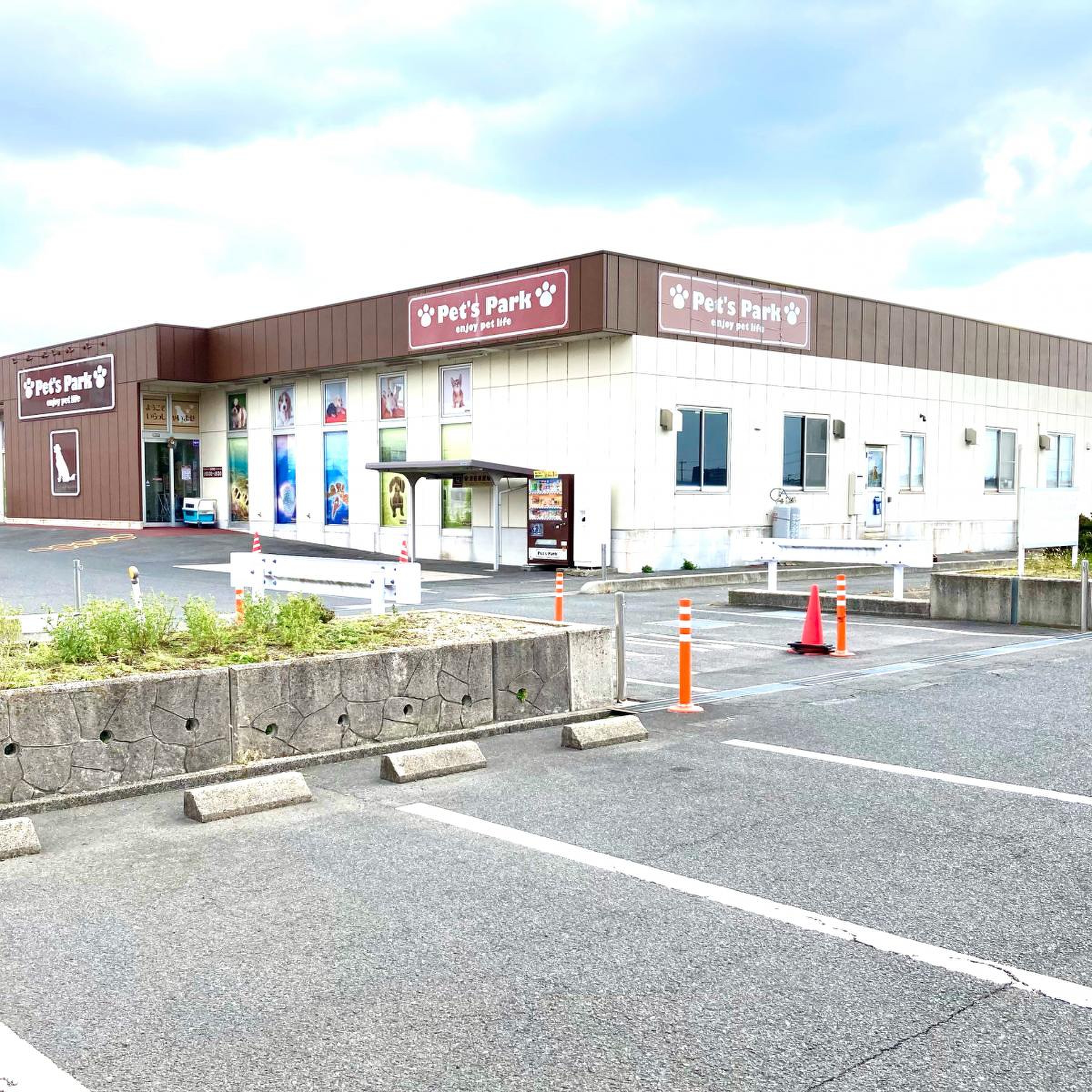 ペッツパーク出雲店の評判は本当？後悔前に知るべき料金と生体の真相