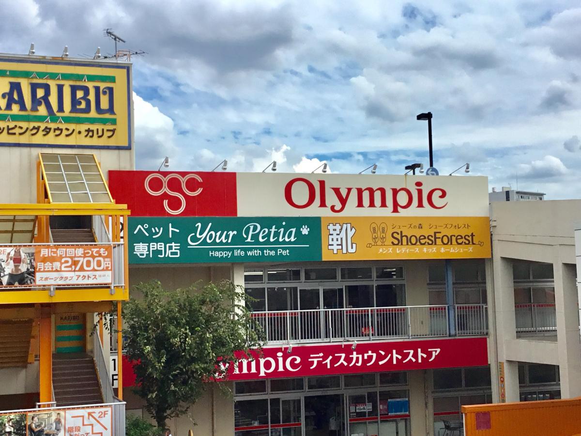 オリンピック梅島店の最新営業時間とチラシ活用術｜売場の評判を徹底解剖