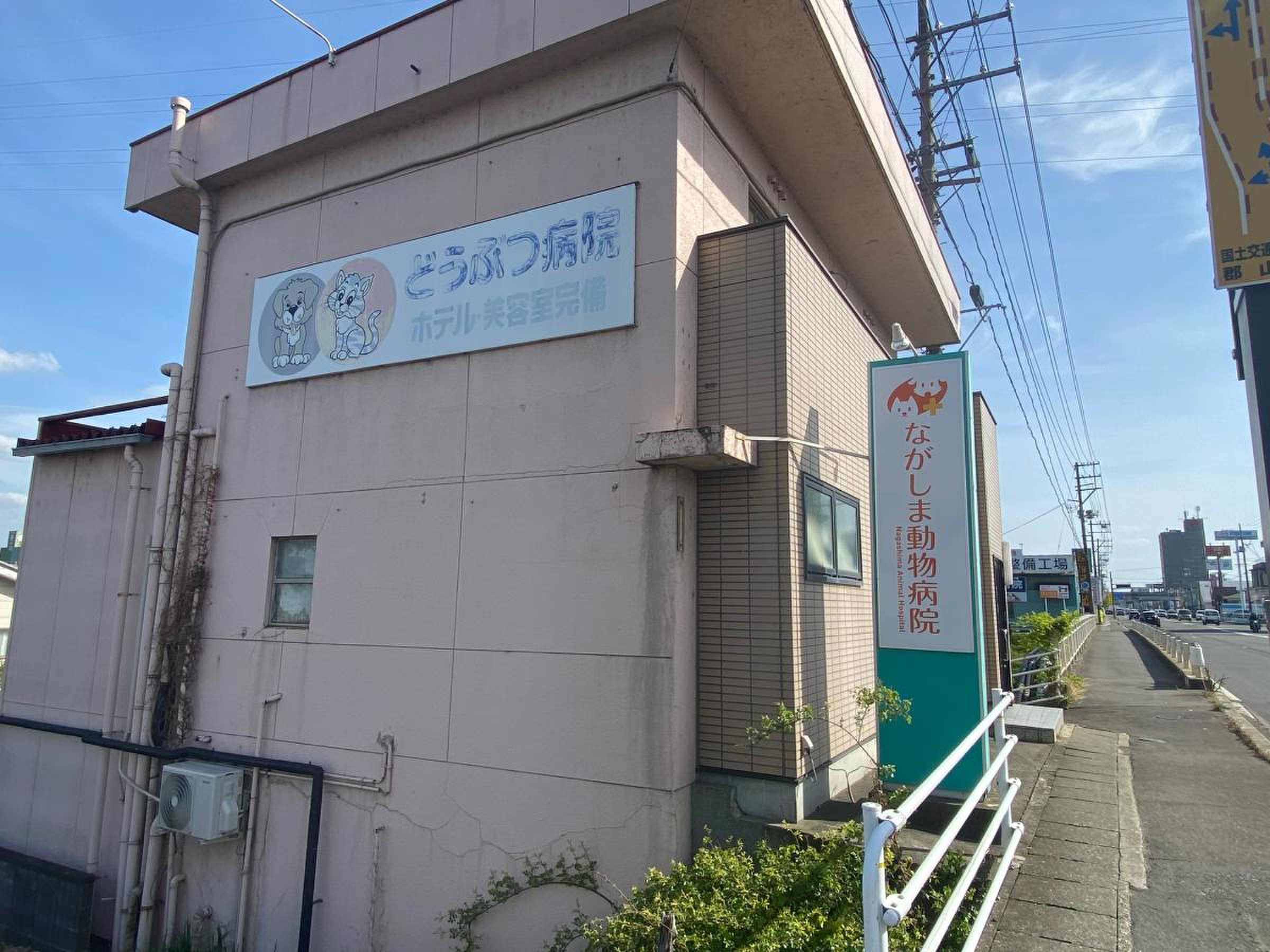 ながしま動物病院の評判と口コミ検証！診察料金と待ち時間の真相