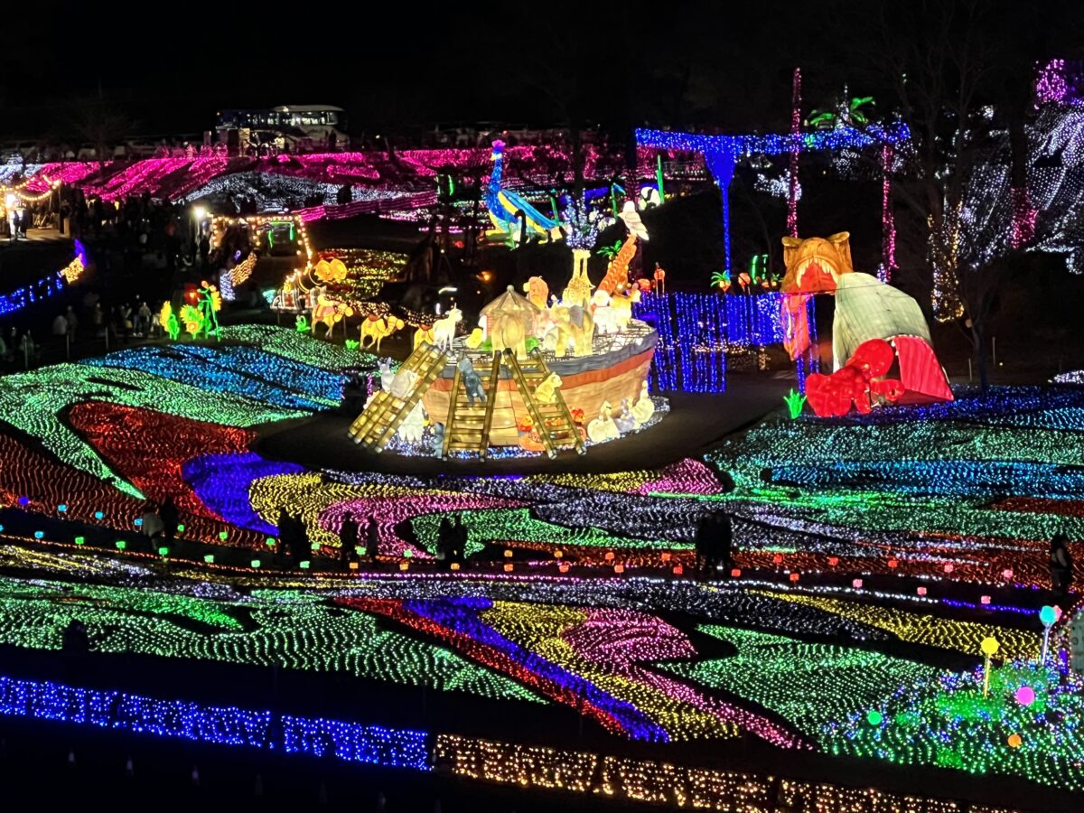 東京ドイツ村イルミネーション2026完全解剖！渋滞回避と絶景の裏ワザ