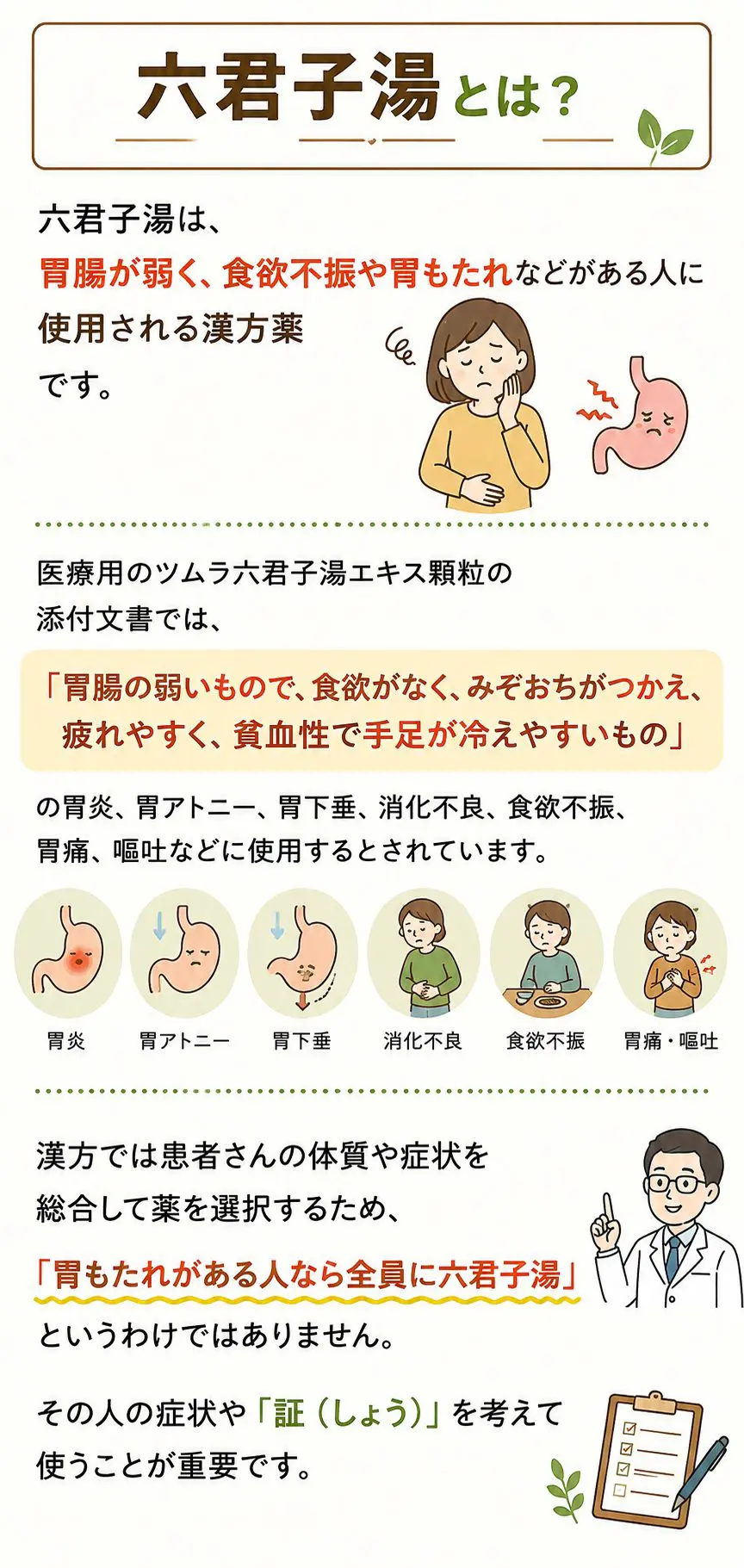 六君子湯の効果はいつから？逆流性食道炎や太る噂の真相を徹底検証【2026】