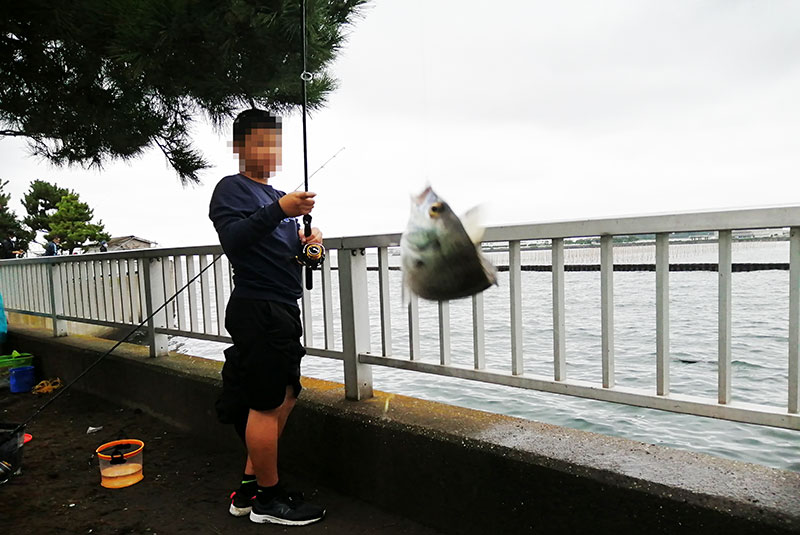 野島公園の釣り完全攻略｜最新釣果と禁止エリアの真相
