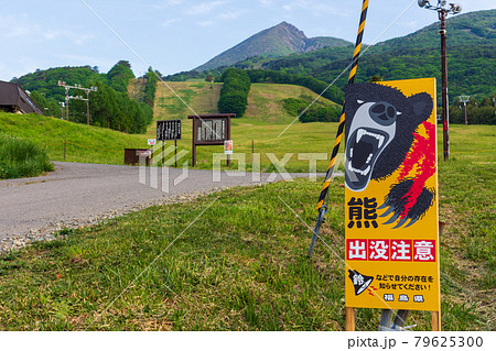 【動画まとめ】 スキー 場 熊 出没 最新写真集＆動画まとめ #874