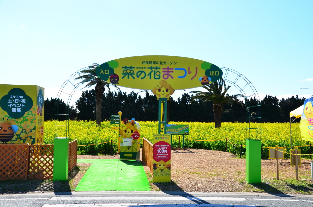 伊良湖菜の花ガーデン2026見頃と混雑回避術！料金・駐車場完全攻略