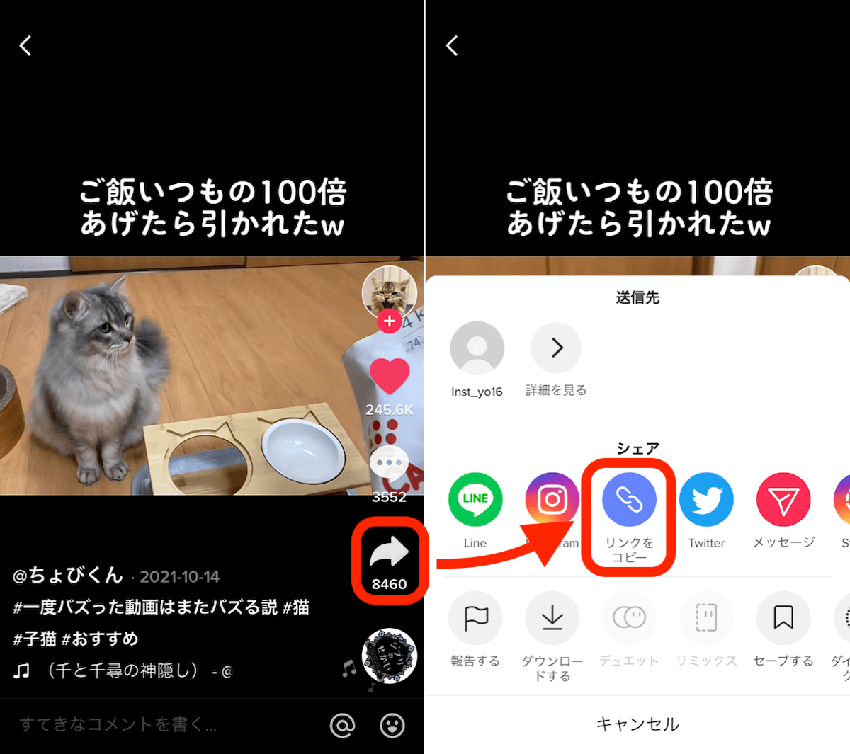 【2026年最新】リンクコピーとは？保存先と通知でバレる噂の真相