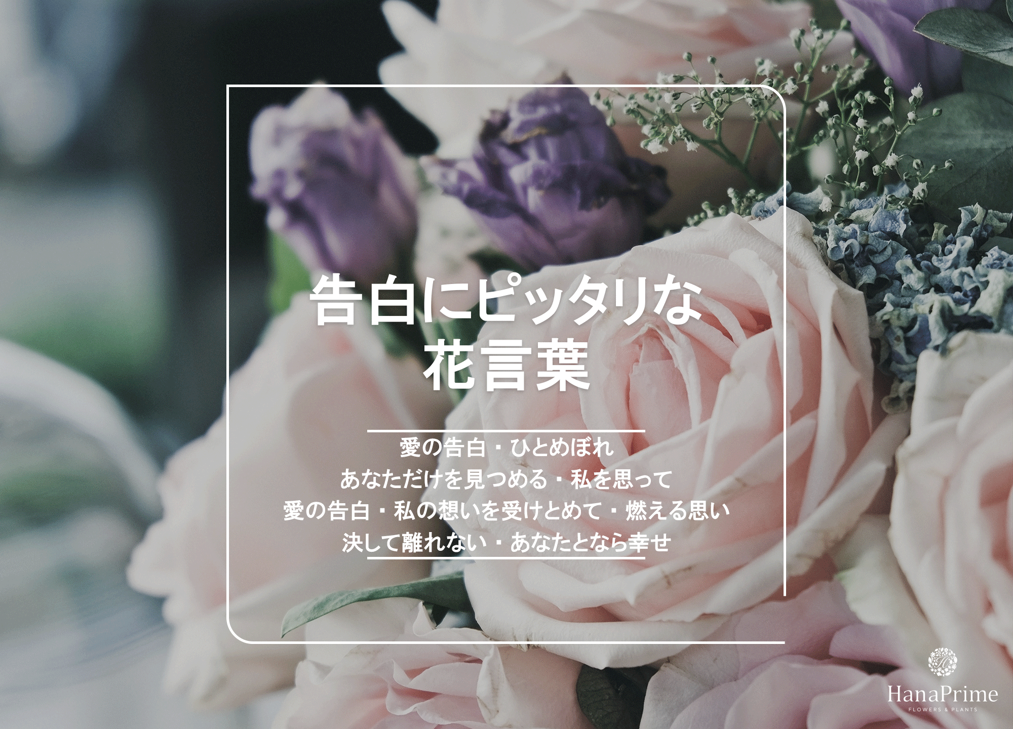 告白に効く花言葉完全版！本命に響く花の種類・本数と渡すタイミング