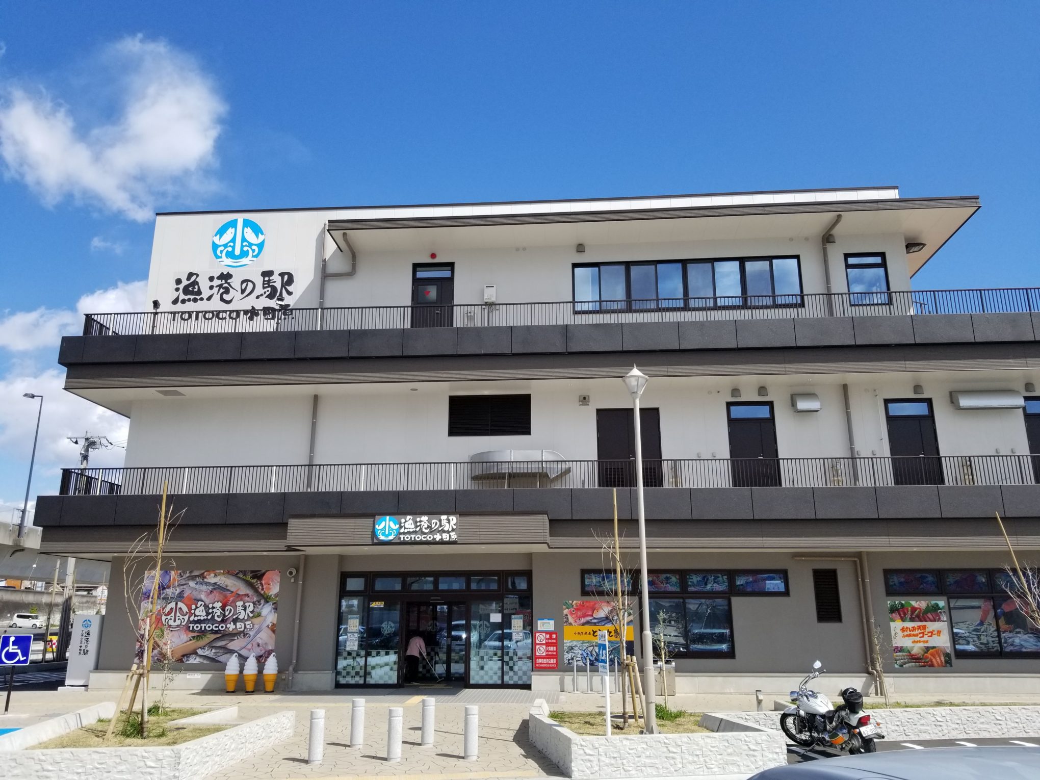 小田原漁港とと丸食堂の行列は並ぶ価値あり？名物頂上丼と混雑回避術
