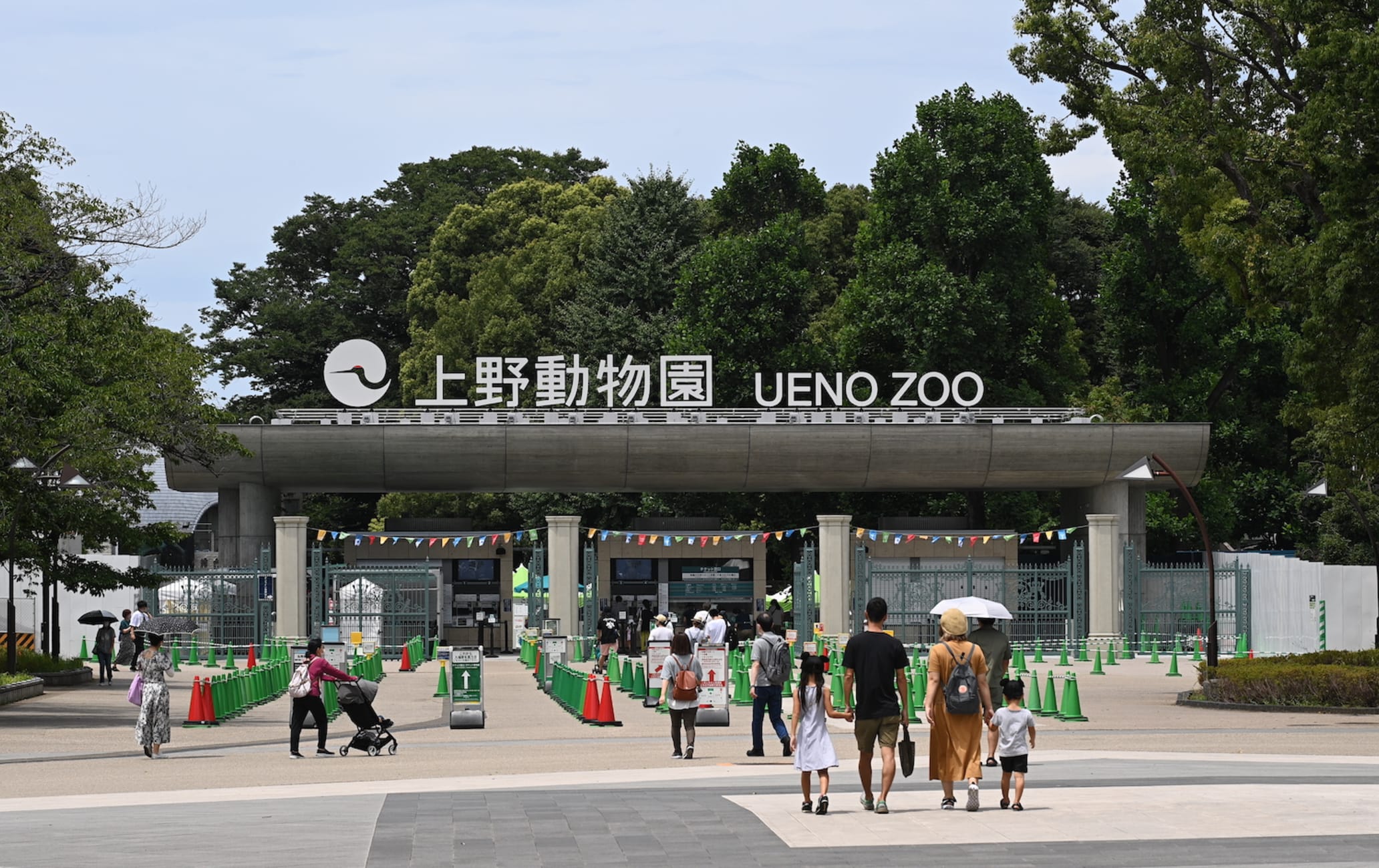 【2026最新】上野動物園の完全攻略法！パンダの現在と混雑回避術