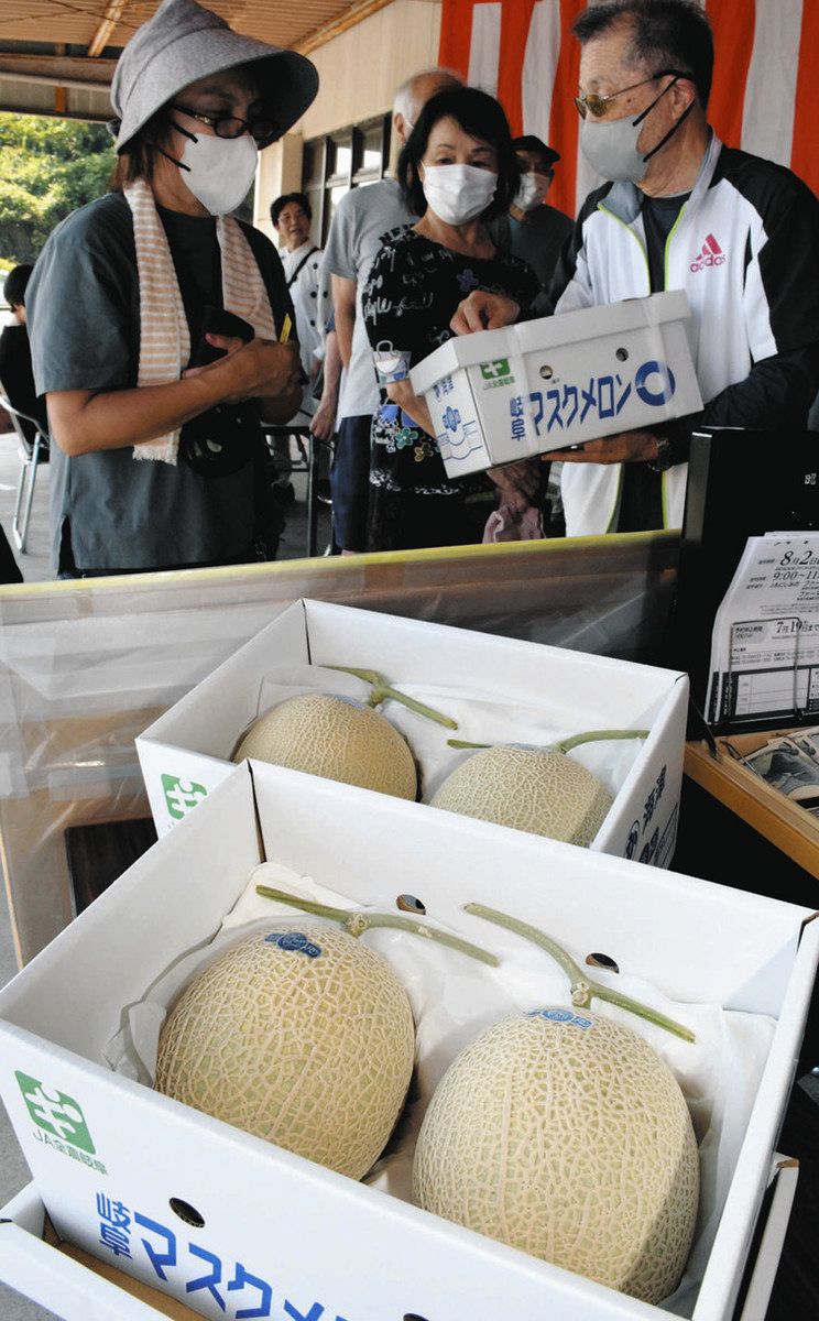 Jaにしみの南濃店の真実！名物みかんと新鮮野菜の買い時＆混雑攻略