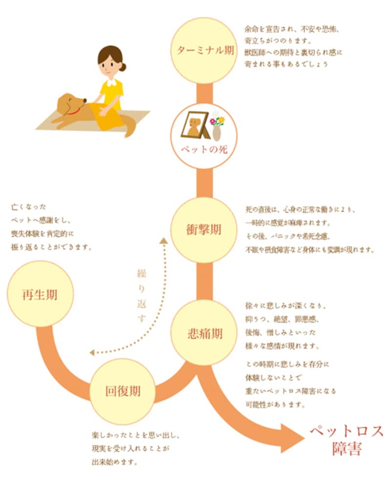 ペットロスの乗り越え方｜涙が止まらない理由と回復への5段階