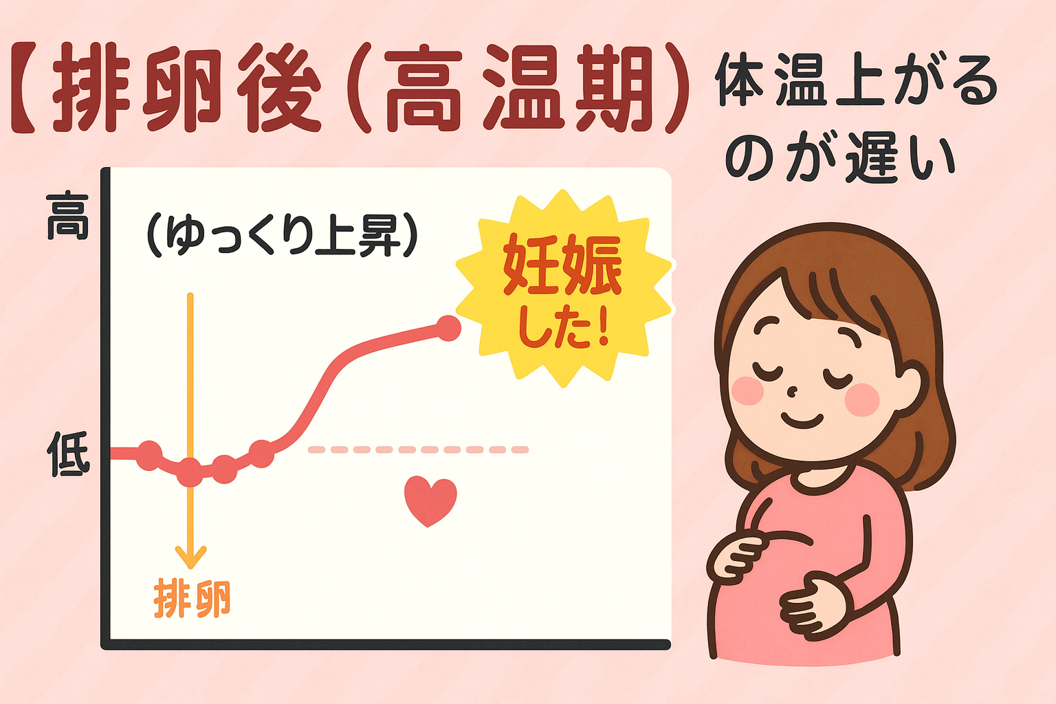 排卵後に体温が上がるのが遅い原因は？妊娠への影響と基礎体温の真相