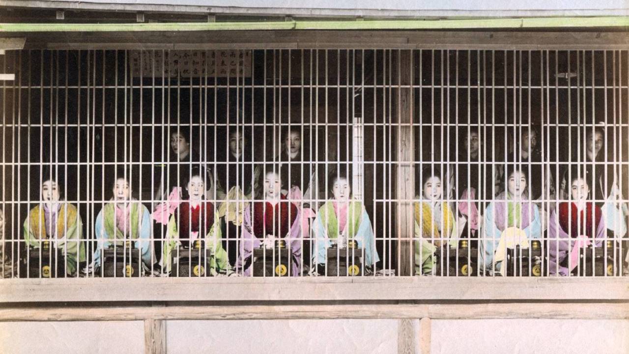 【谷中・根津・千駄木】消えた根津遊郭の全貌と2026年現在の痕跡を徹底解説