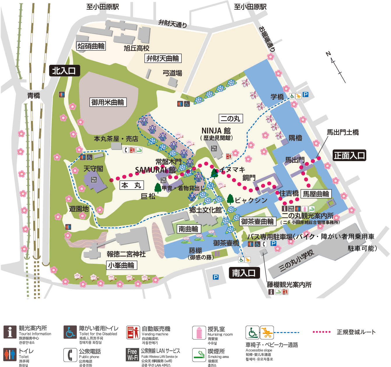 小田原城址公園の歩き方2026！天守閣の絶景と穴場駐車場を徹底解剖