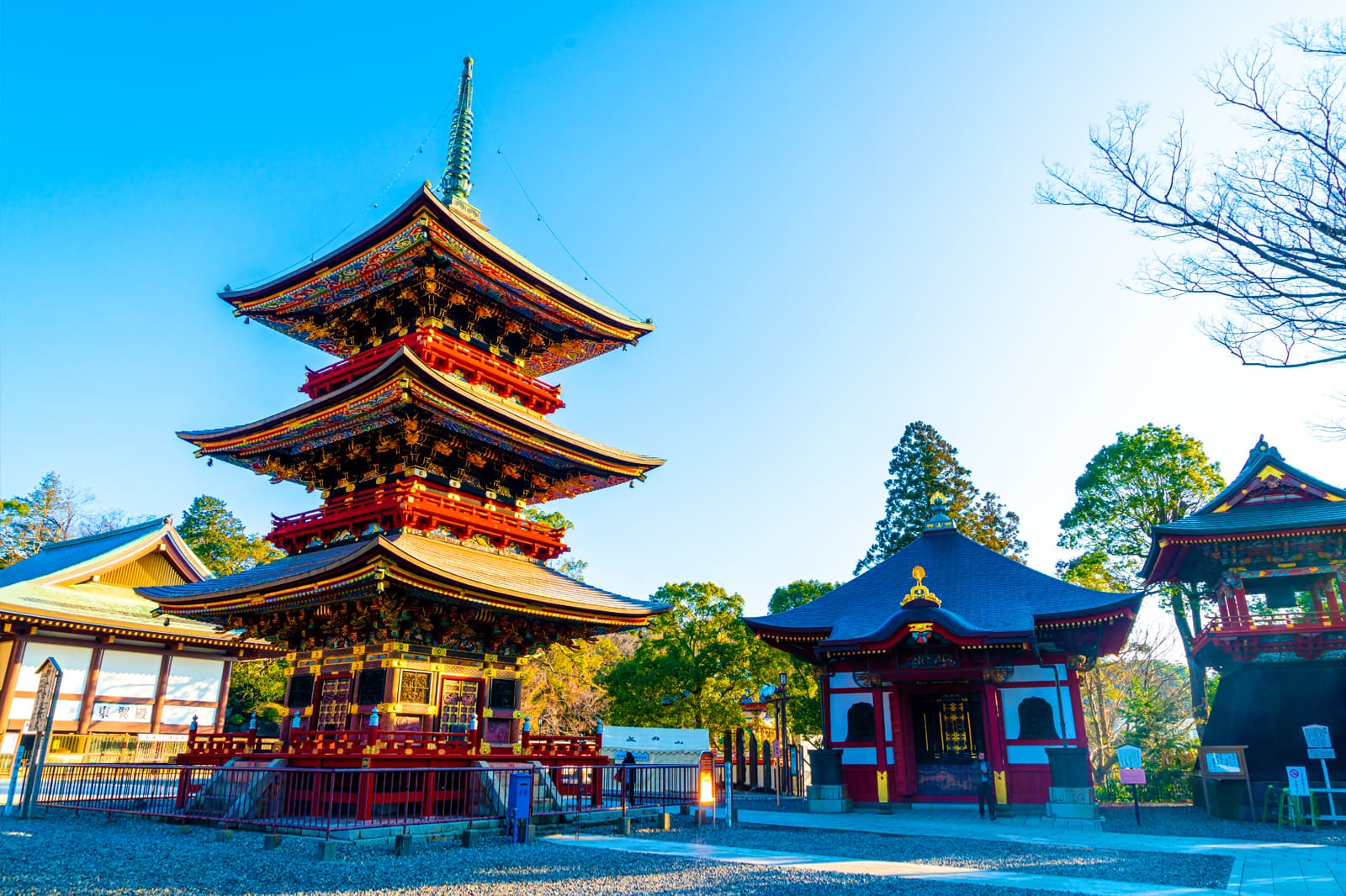千葉の紅葉名所2026｜定番から穴場・混雑回避ルートまで徹底解剖