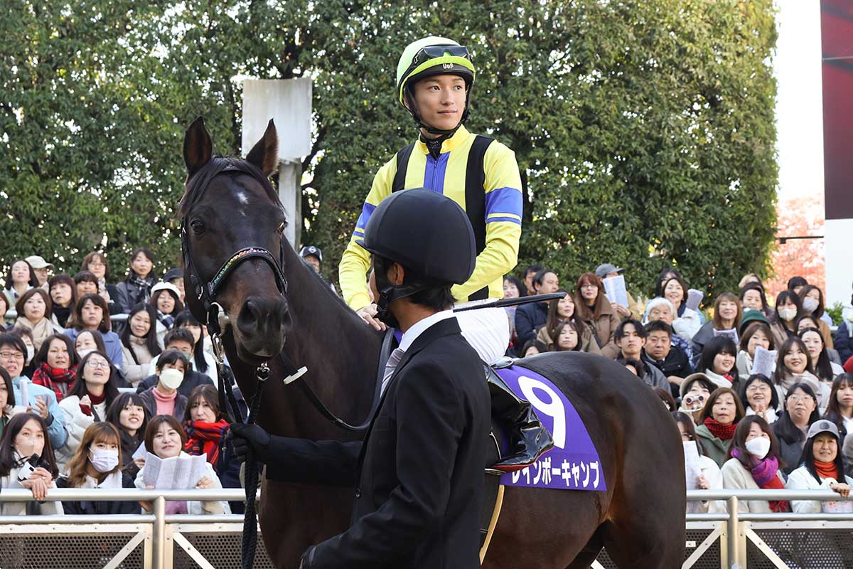 韓国ドラマ『ロイヤルファミリー』最終回の結末とヘリの生死を徹底考察
