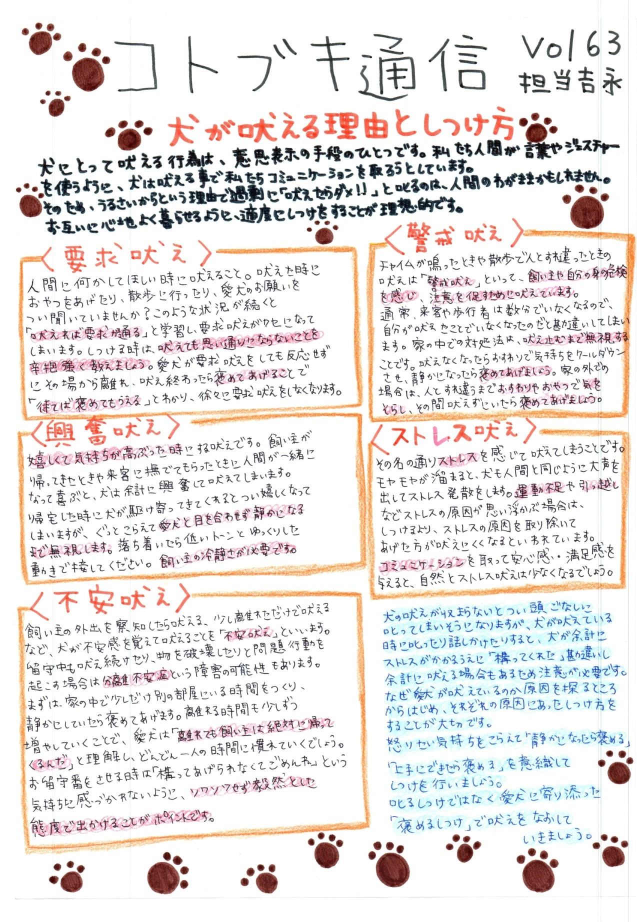 犬が鳴く理由と心理を解明！鳴き声別の意味としつけ・病気Sosの対処法