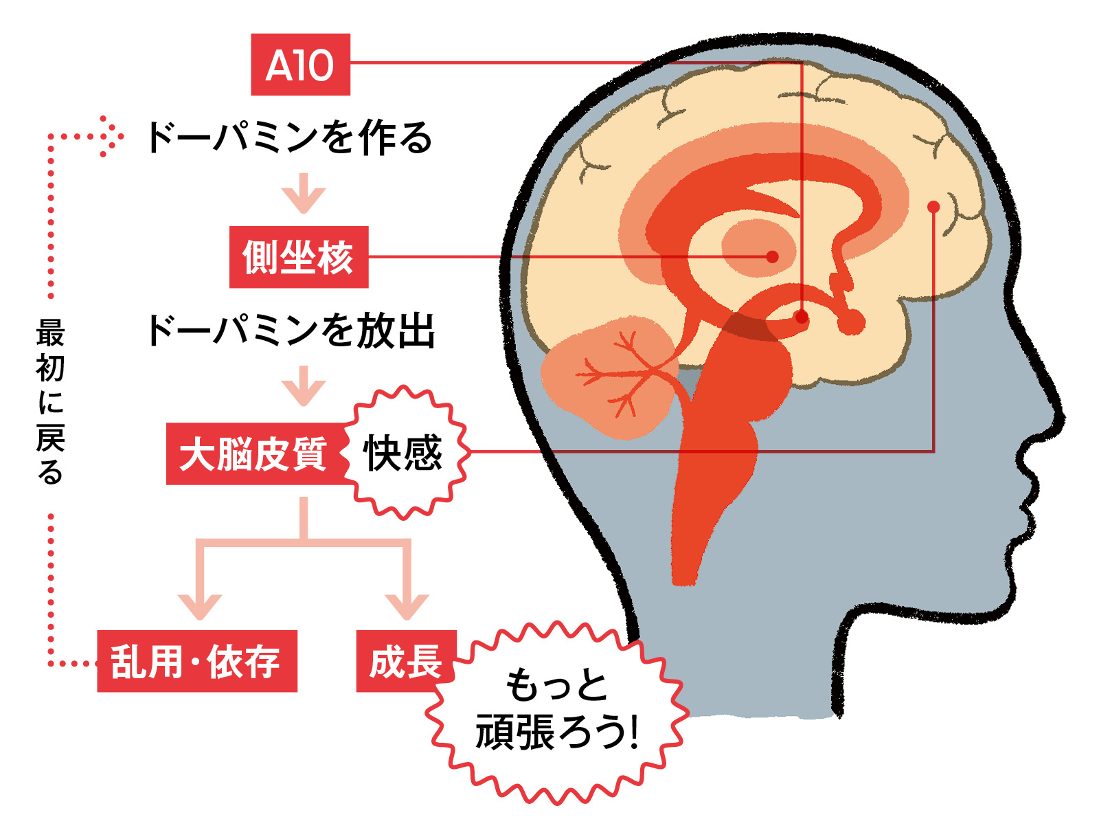 なぜやめられない？脳の報酬系が暴走する依存症とドーパミンの謎