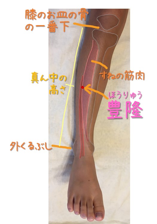 妊婦の足ツボは流産を招く？禁忌の真相と安全なむくみ解消ケア
