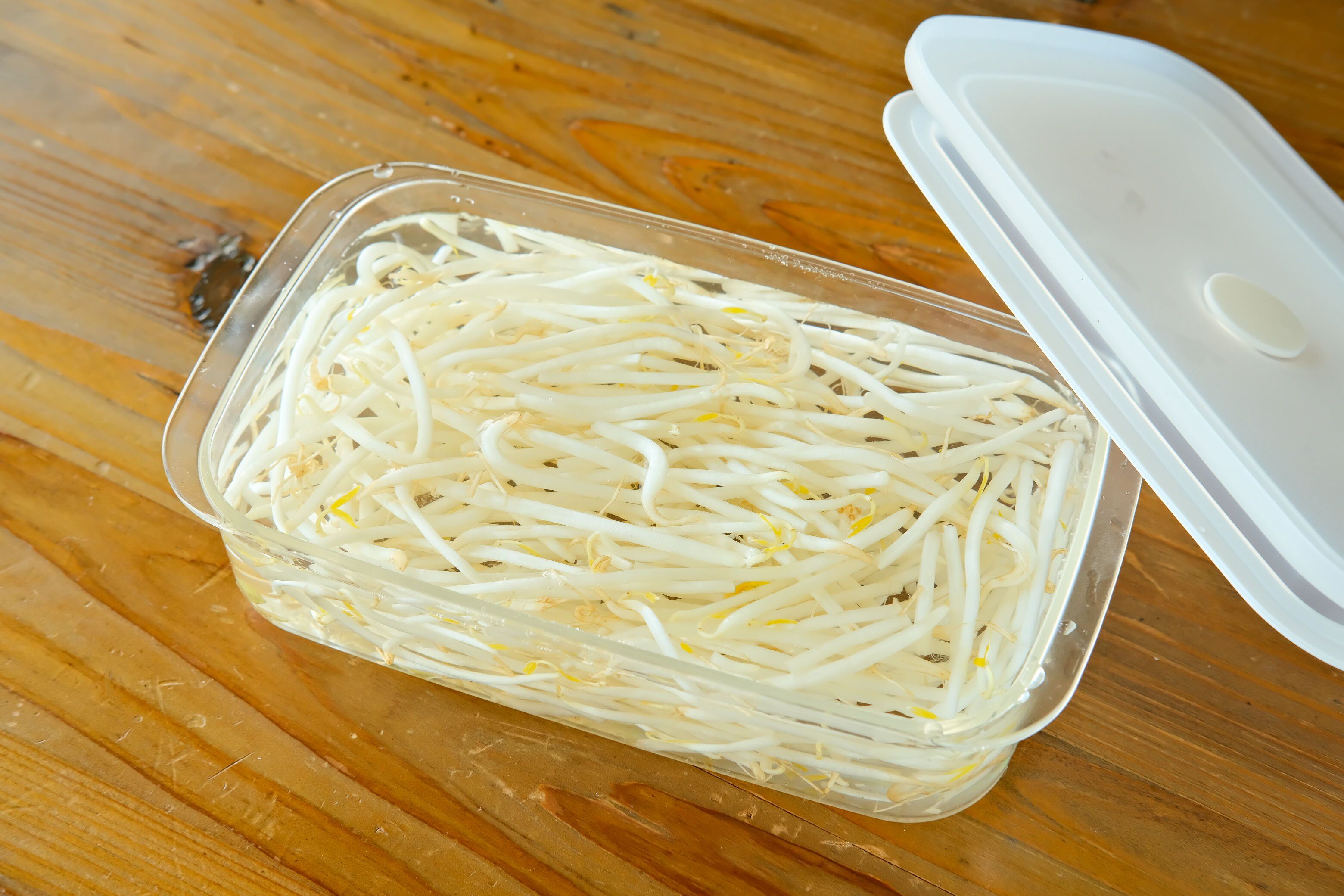 もやしの保存方法決定版！長持ちの裏ワザと冷凍術