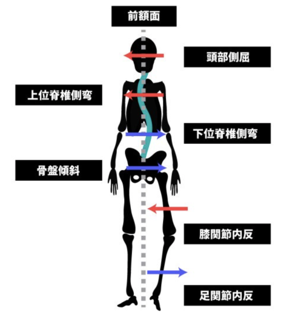 10秒で判明！利き足の調べ方と軸足の違いをプロが徹底解説