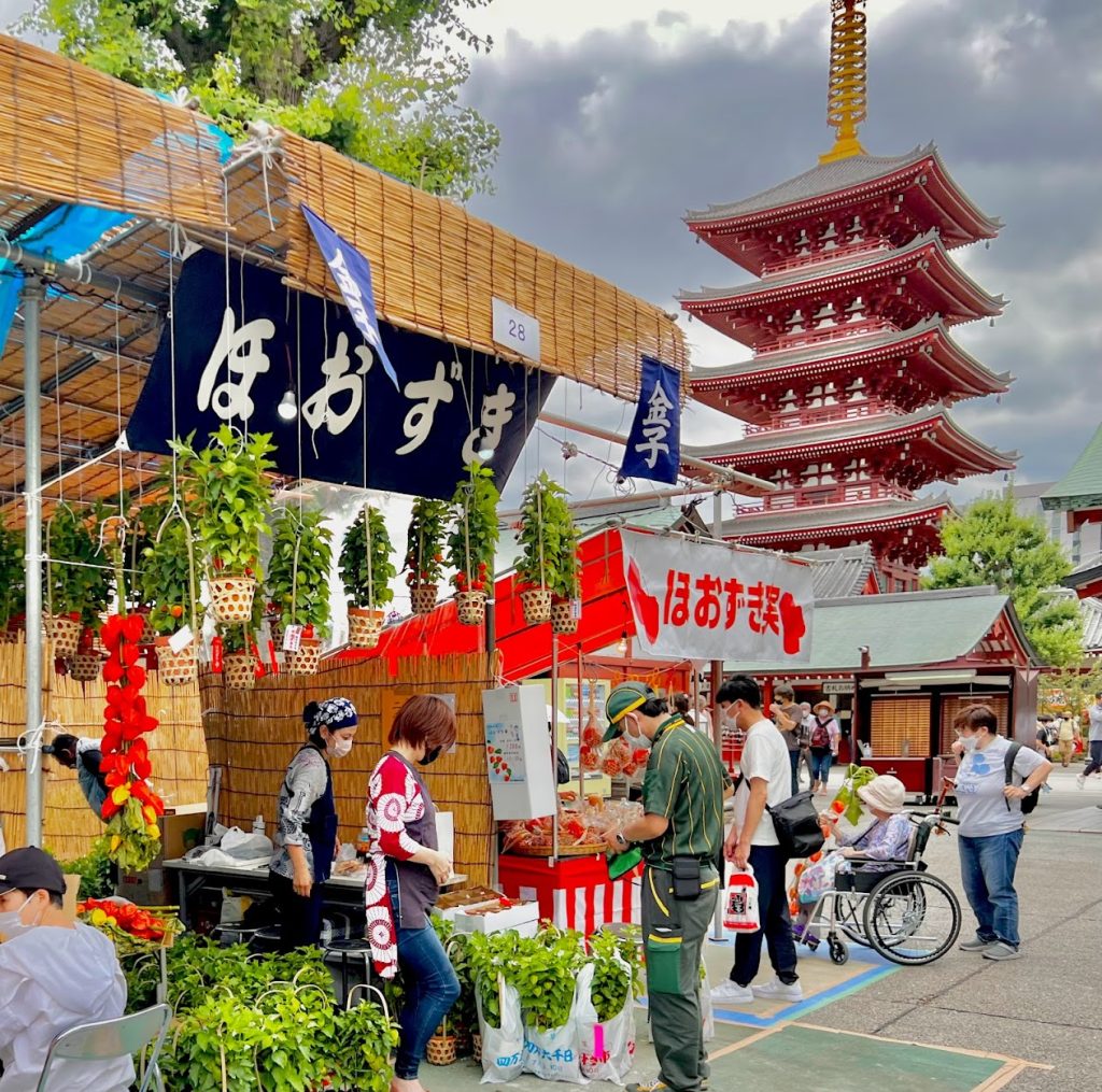 浅草ほおずき市2026徹底ガイド！四万六千日のご利益と混雑回避術