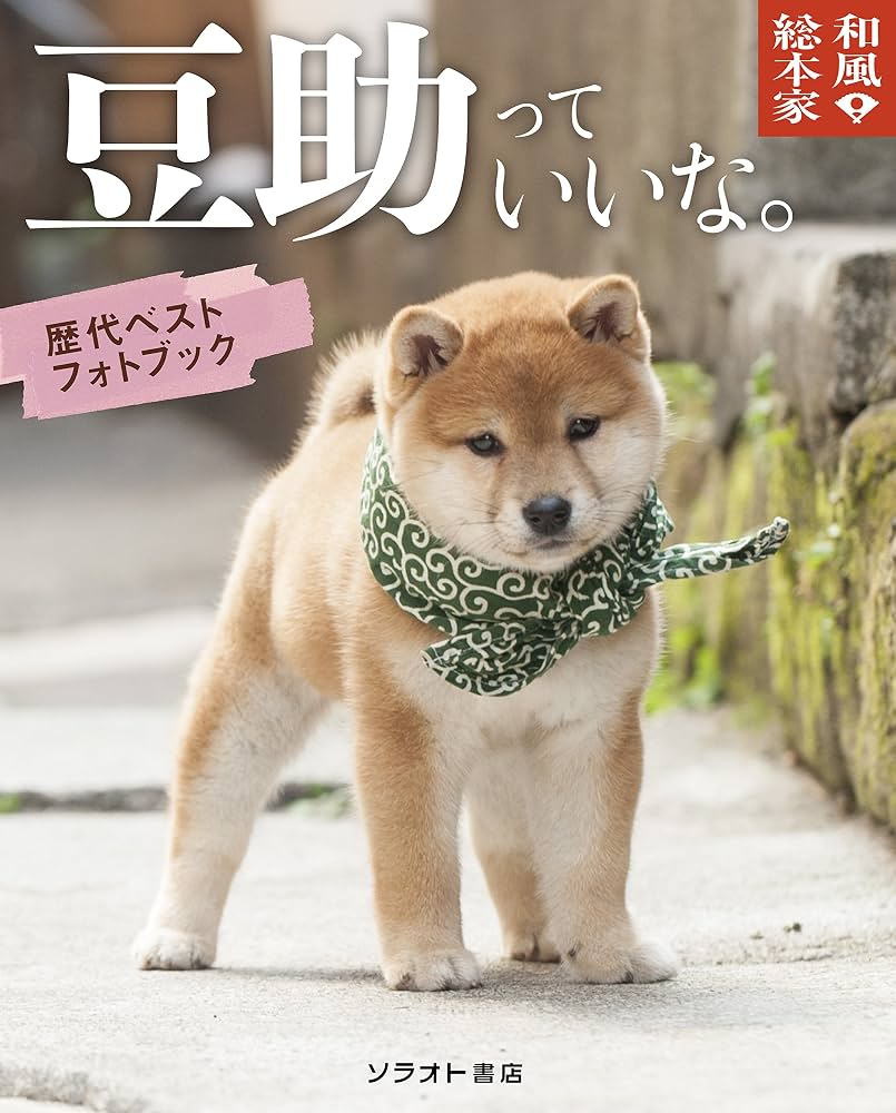 和風総本家が終了した真の理由とは？歴代豆助の現在と再放送事情