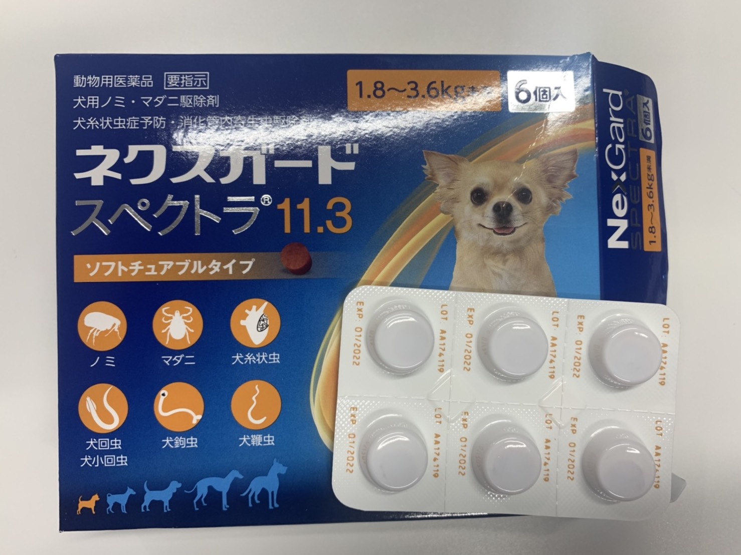 愛犬を守るフィラリア予防薬の費用と投与時期｜2026年最新比較