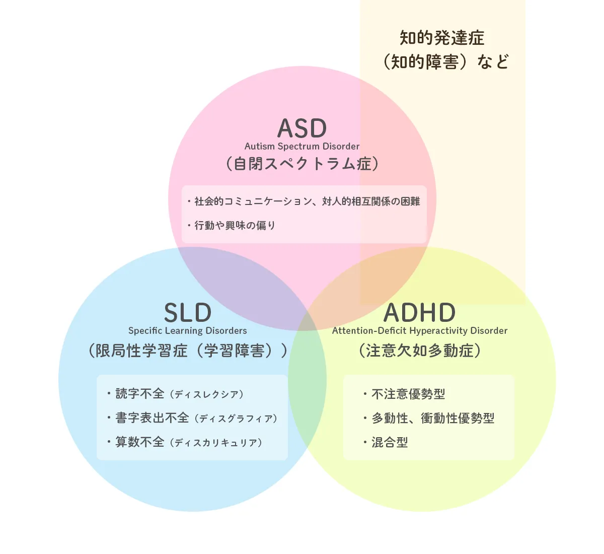 AsdとAdhdの違いを徹底解説！併発サインと大人の見分け方【2026年最新版】