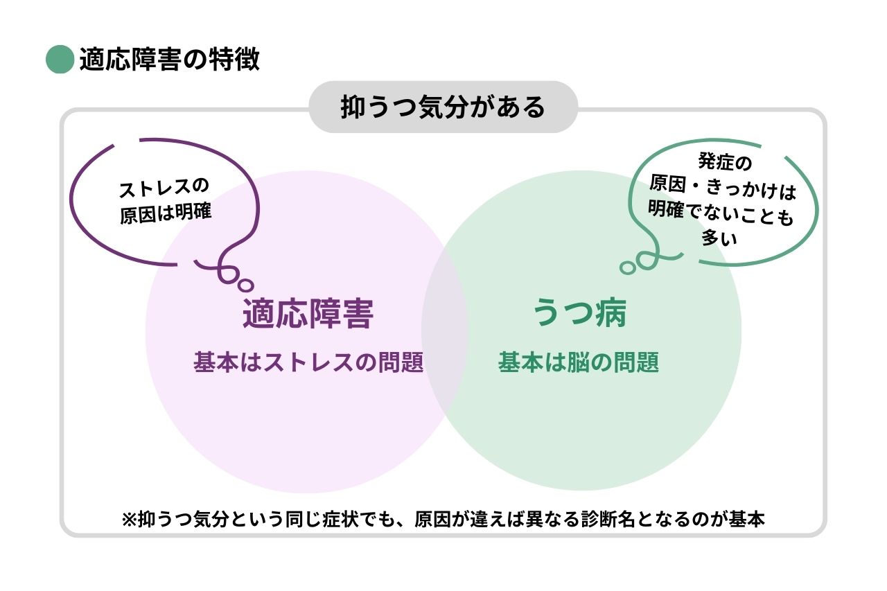 多目的運動広場の落とし穴とは？予約倍率と雨天規約の真相を徹底調査