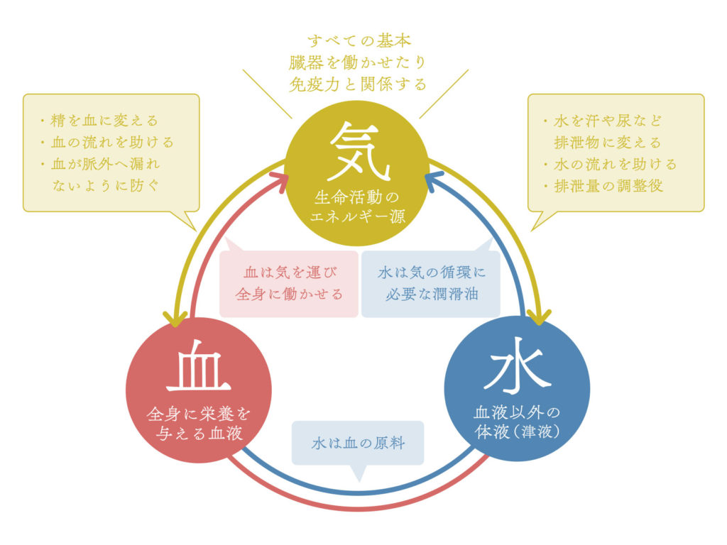 加味逍遥散はいつから効く？効果が出るまでの期間と効かない理由を検証