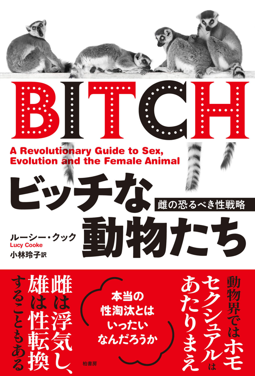 ビッチとは？英語本来の意味と日本語の誤解｜決定的な違いを解説