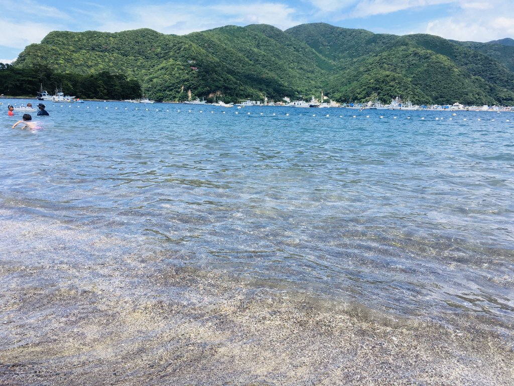 御浜海水浴場が子連れに圧倒的支持を得る理由！2026最新混雑と水質の真相