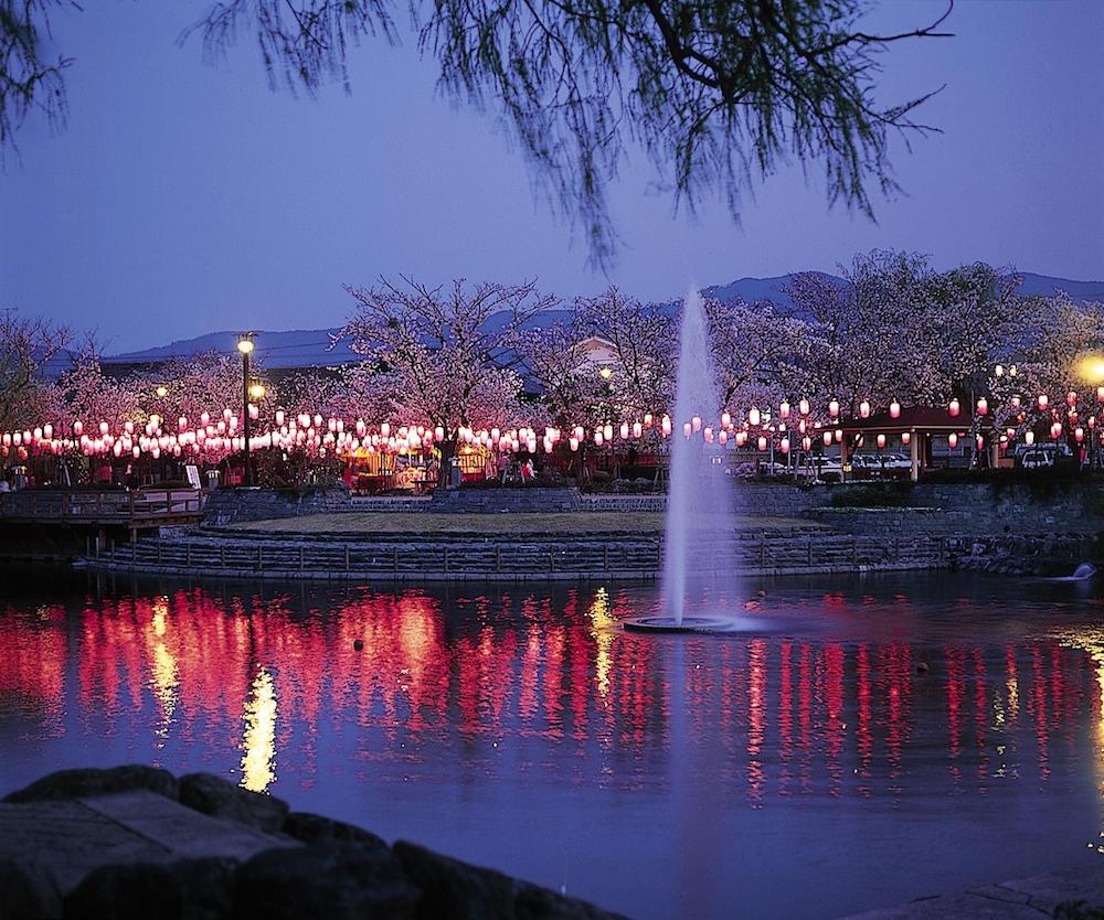 江川鴨島公園の魅力を徹底解剖！異常水温の謎と桜・水遊びの今