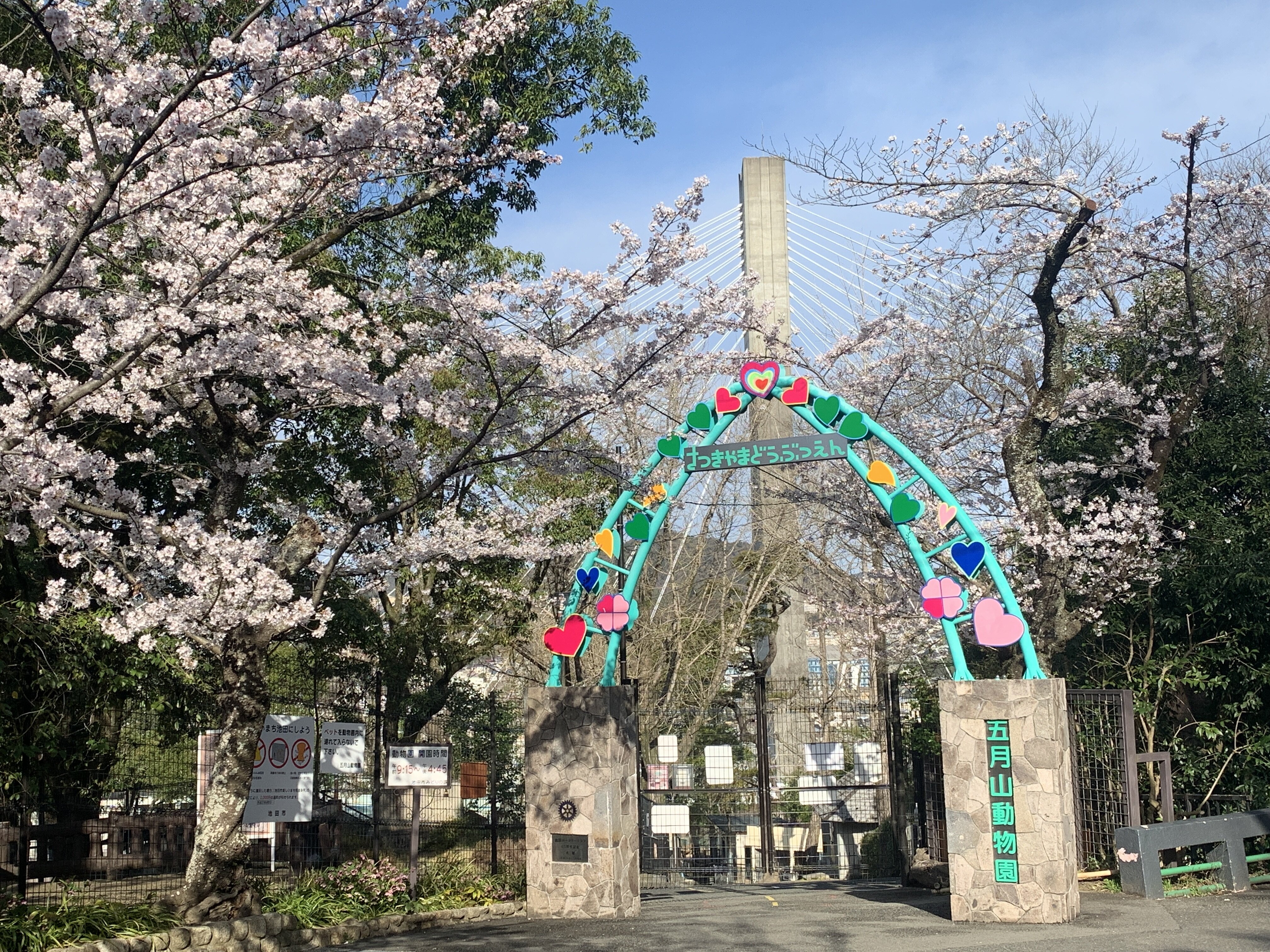 五月山公園が愛される理由とは？動物園や夜景・混雑回避策を徹底検証