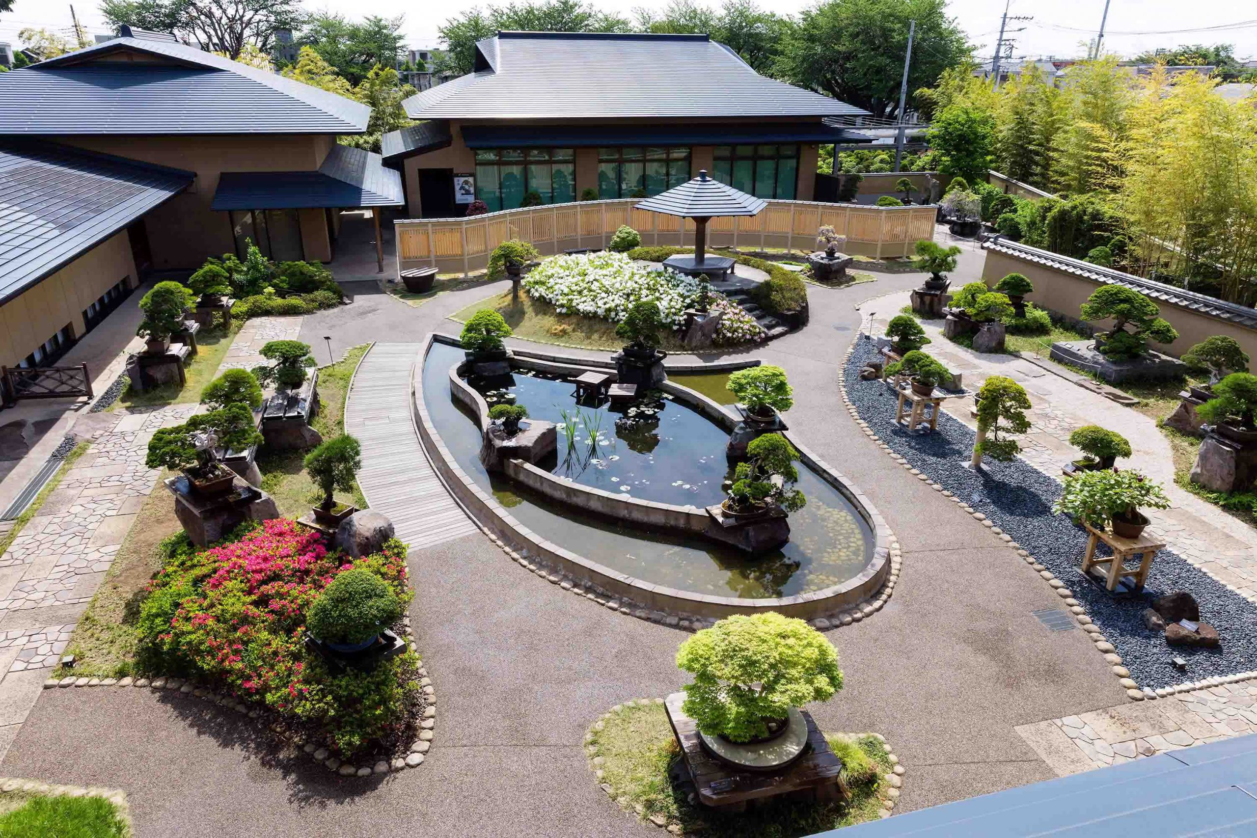 大宮盆栽美術館の魅力と混雑回避術！所要時間や見どころを徹底解説