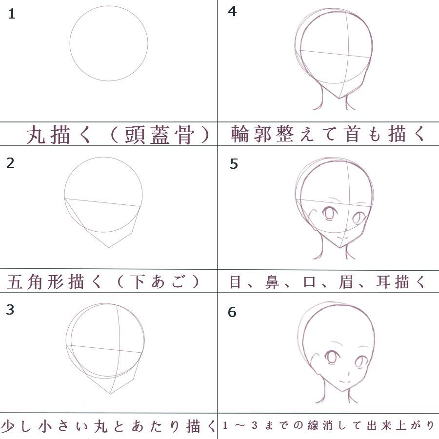 なぜ顔が歪む？輪郭の描き方と失敗しない黄金比率の極意【2026最新】