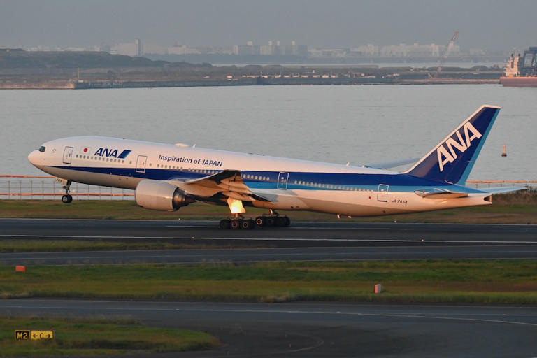 2026年最新【Ana欠航】空の便が止まったらどう動く？即座に行うべき振替手続きと補償の現実