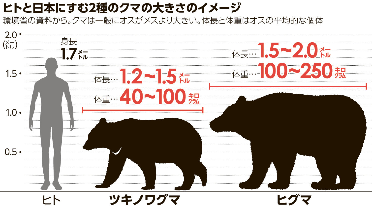 ヒグマの大きさは立ち上がると何M？歴代最大記録と人間比較の真実