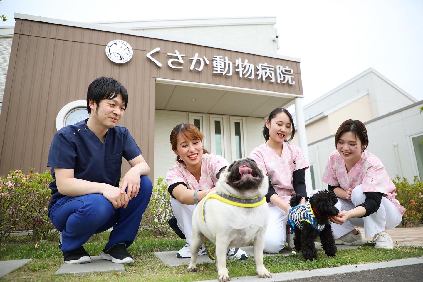 くさか動物病院の評判と口コミの真相｜診療料金・混雑・対応を徹底検証
