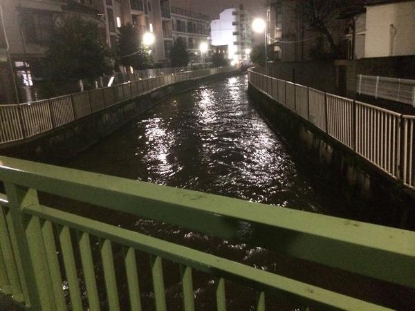【2026年最新】善福寺川の氾濫リスクと都市型水害の脅威：首都圏を襲う豪雨から命を守る防災最前線