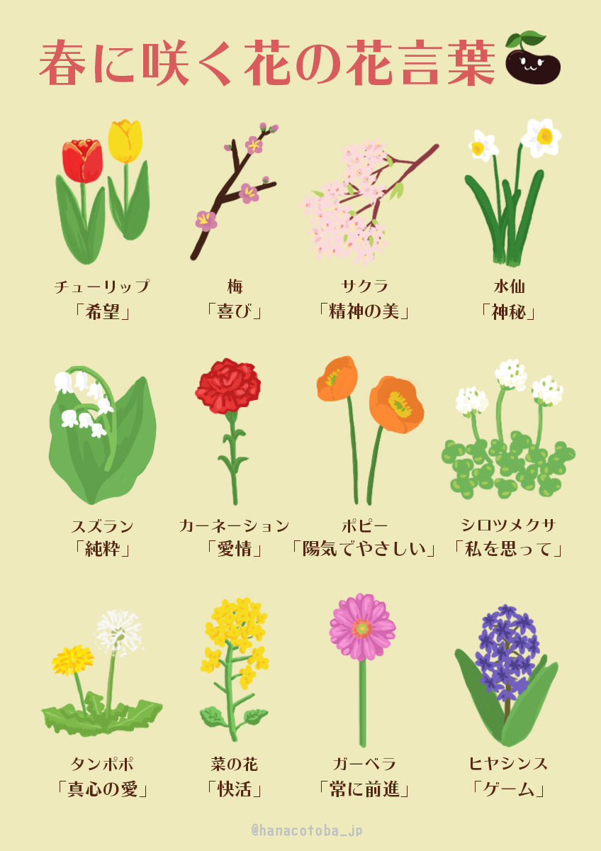 花言葉の怖い意味と真相一覧！2026年最新の失敗しないギフト術